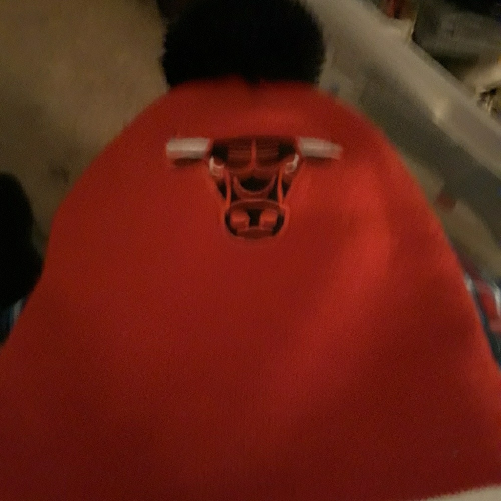 Chicago bulls hat